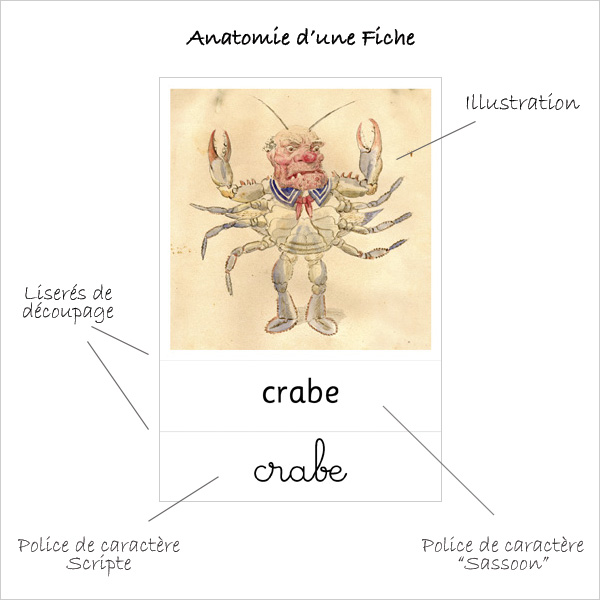 Fiche de nomenclature