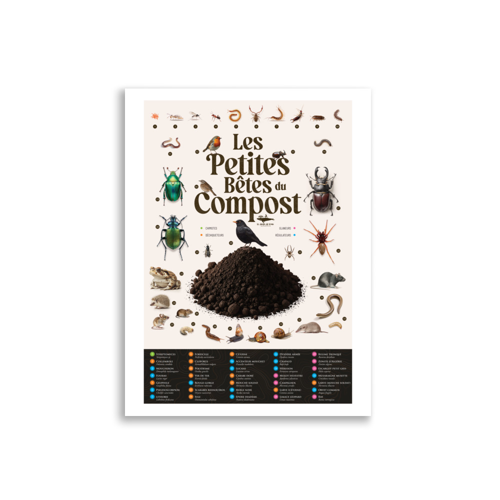 Poster - Les petites bêtes du compost – Image 7
