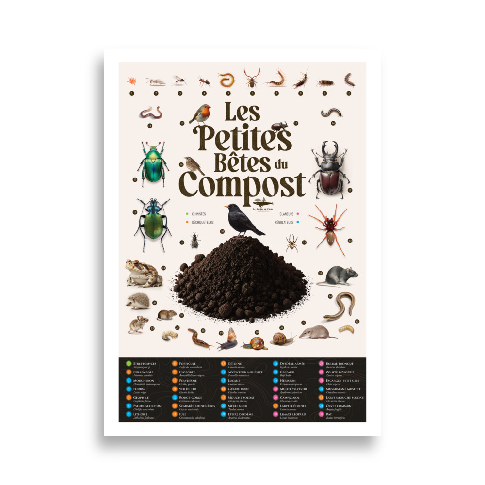 Poster - Les petites bêtes du compost – Image 8