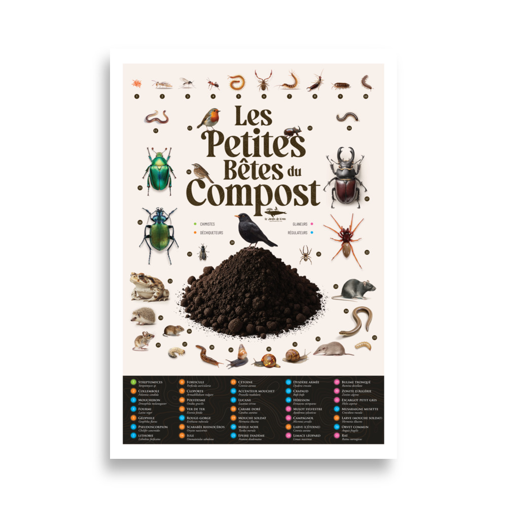 Poster - Les petites bêtes du compost – Image 4