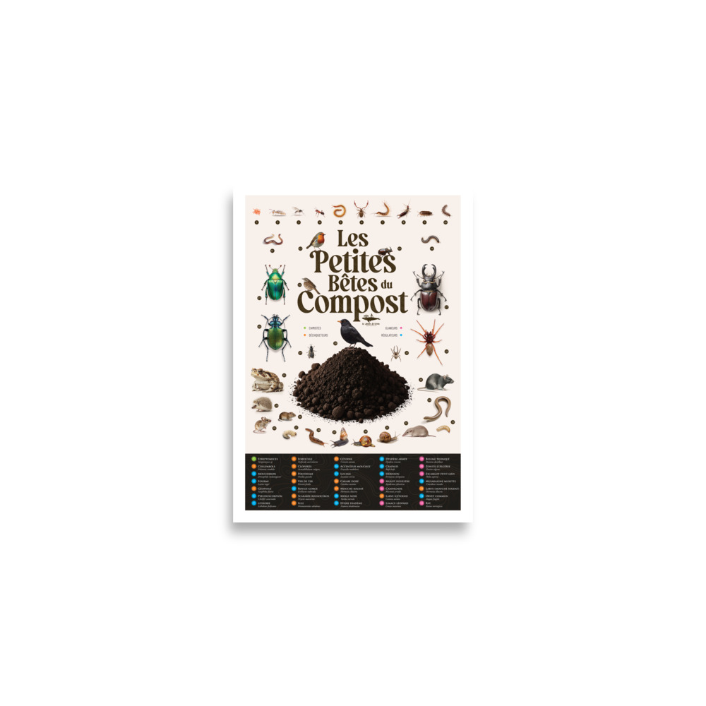 Poster - Les petites bêtes du compost – Image 6